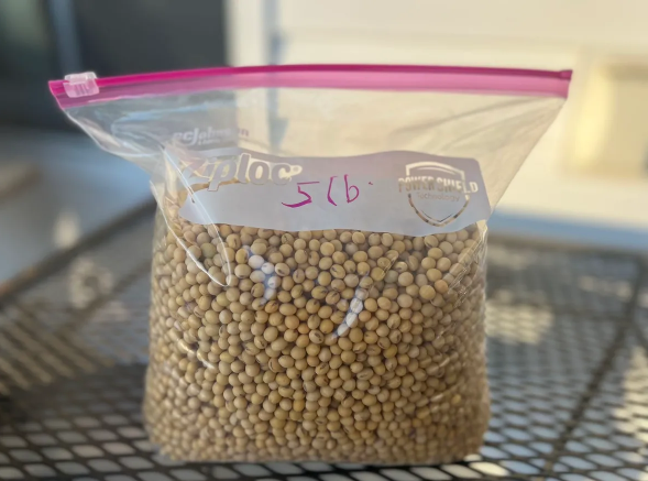 Fresh soybeans from local farms-5 lbs by Eastern Paradise Farm