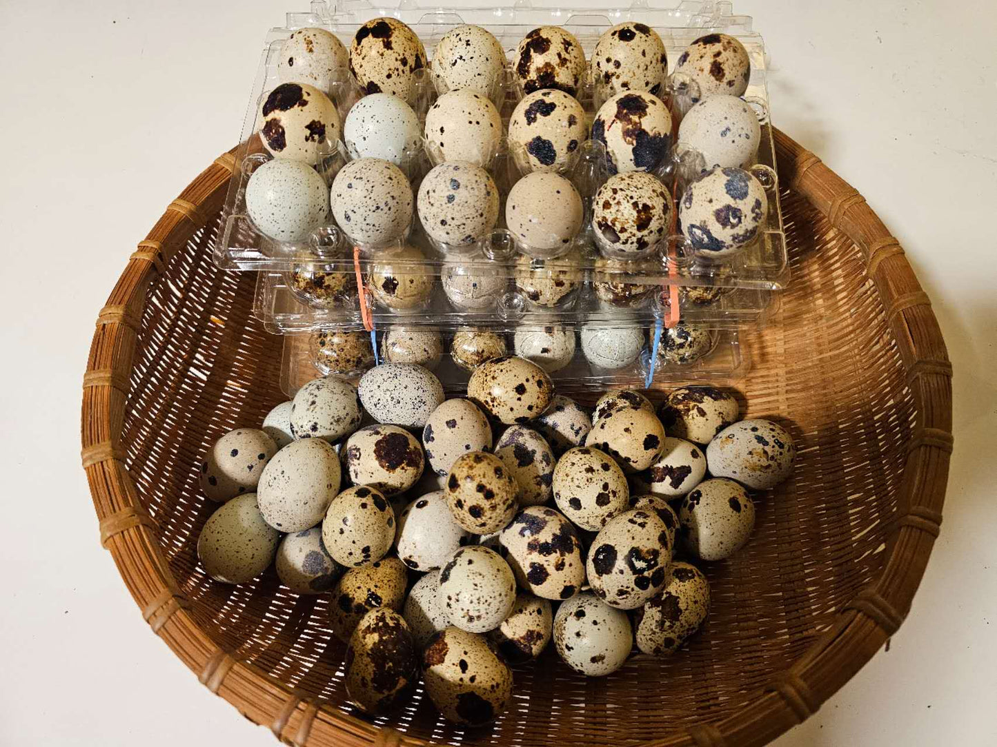 新鲜鹌鹑蛋(18个/盒)