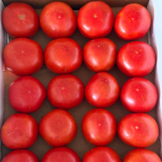 Amish Fresh Naturally Ripened Tomatoes（10 LB/20 LB)