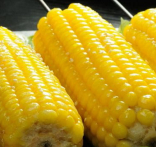 1 dozen sweet corn