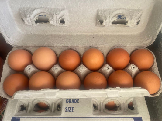 Amish Cage-Free Eggs (2 dozen Med Size)