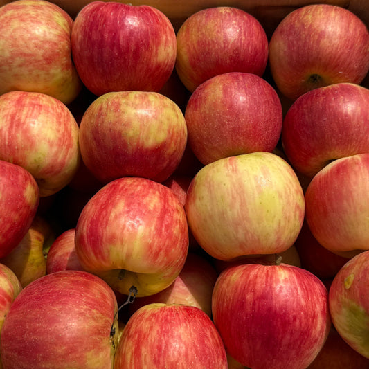 Honeycrisp Apple 10lbs