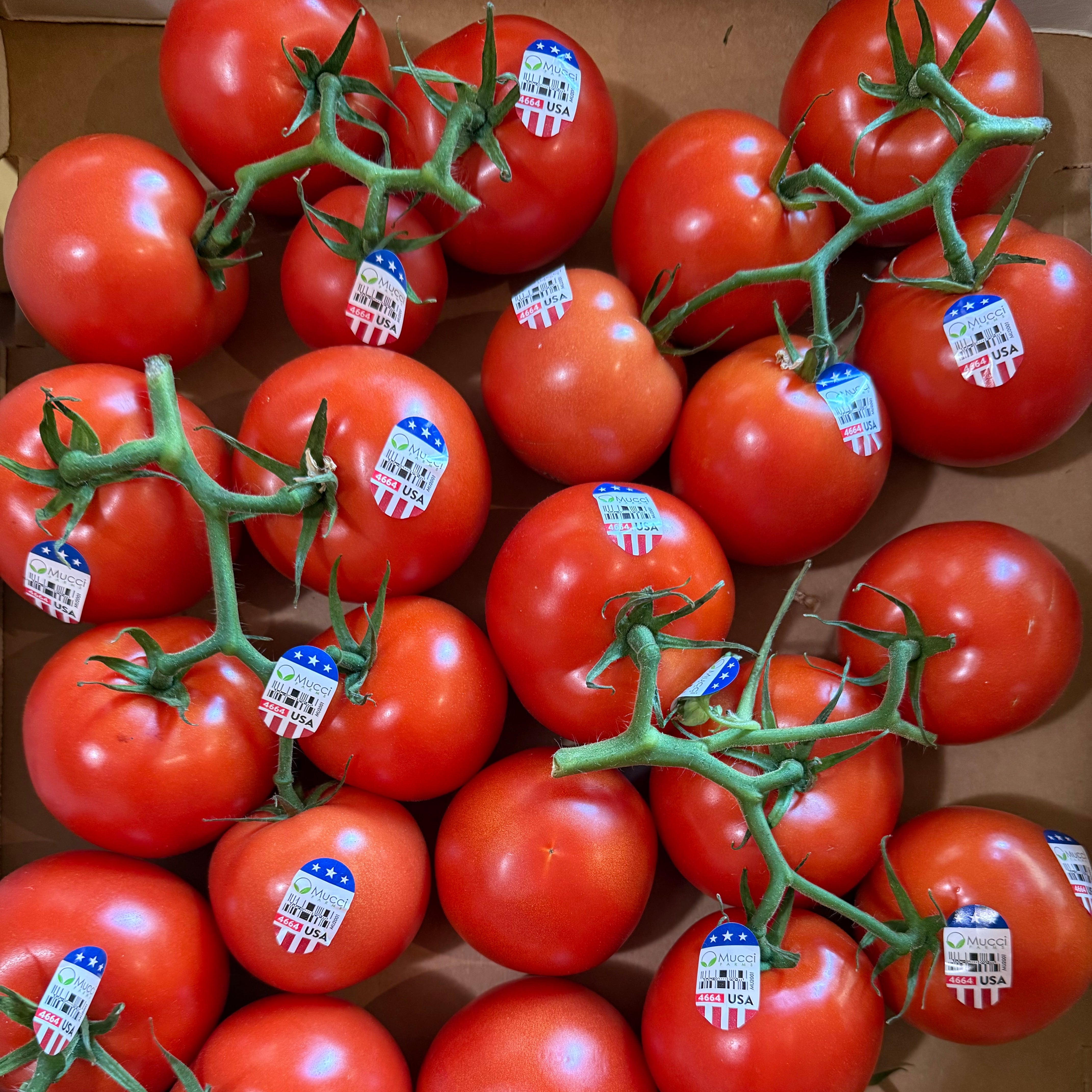 tomato　局留め Fox Cherry Tomato | Hudson Valley Seed Company