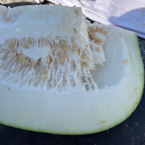 Winter Melon 3Lbs