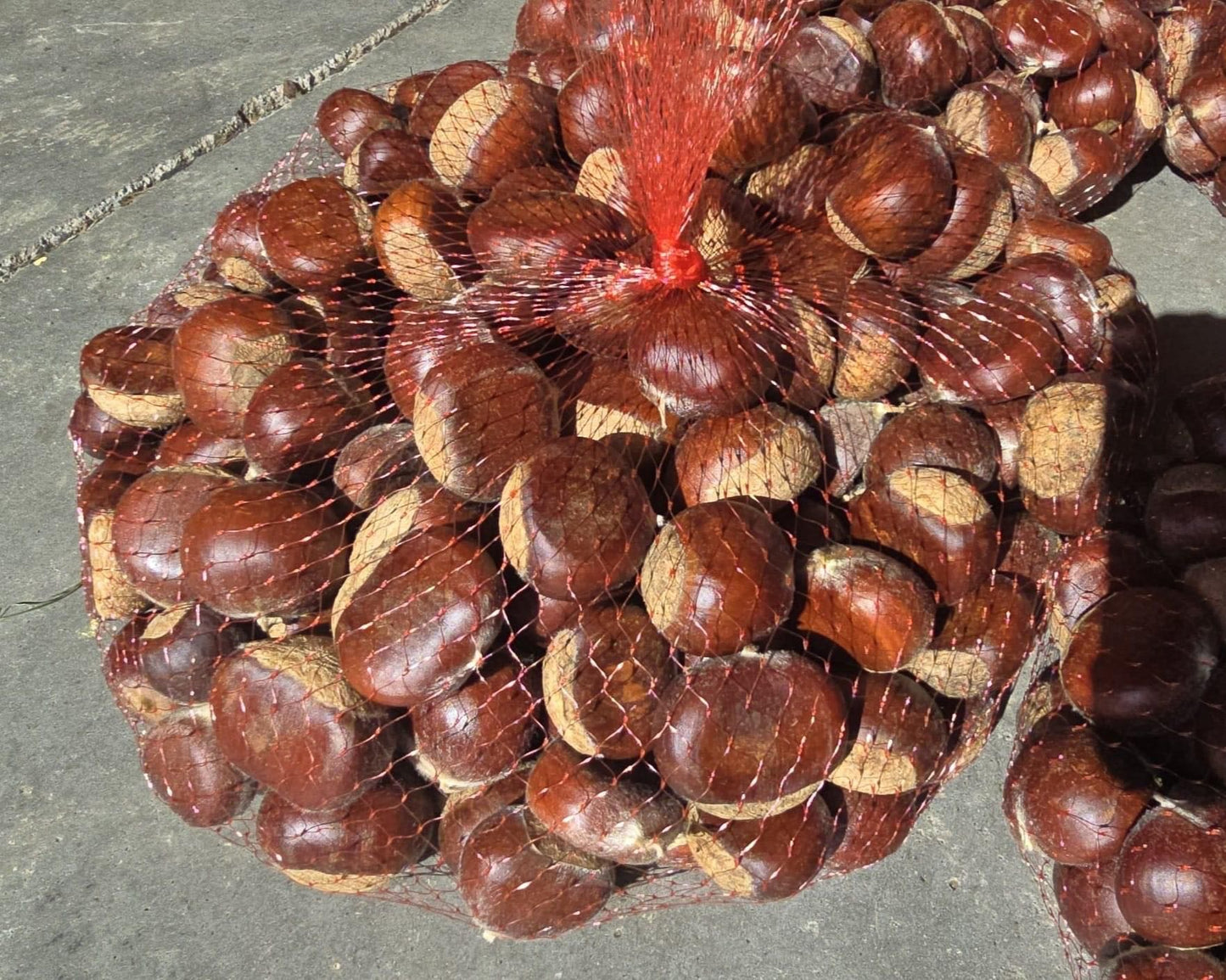 Chestnuts (pickup date: 10/17)