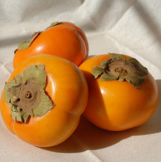 Fuyu Persimmon 3 Lbs