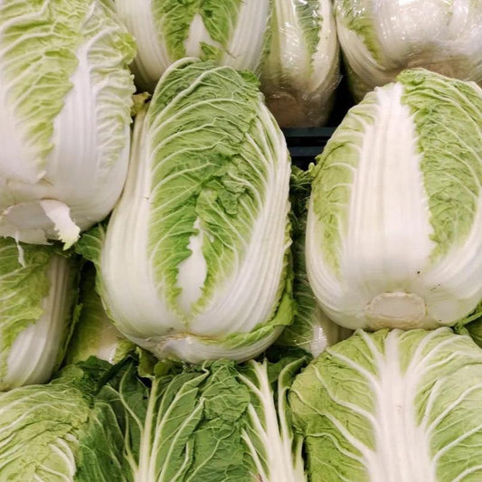 Napa Cabbage （3 ct)