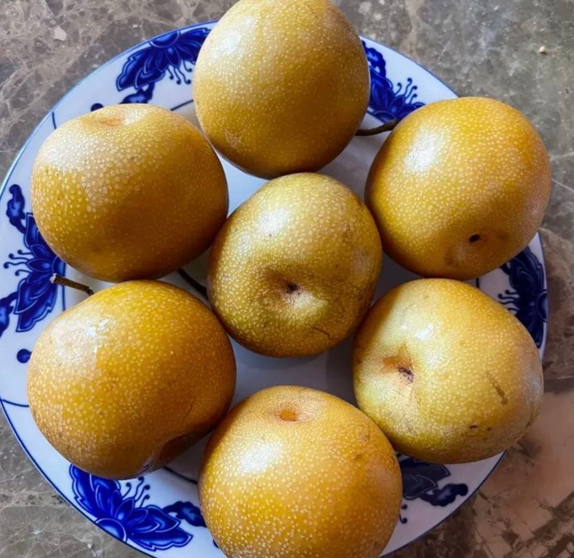 Asian pear (Variety name: Olympic) 10lbs