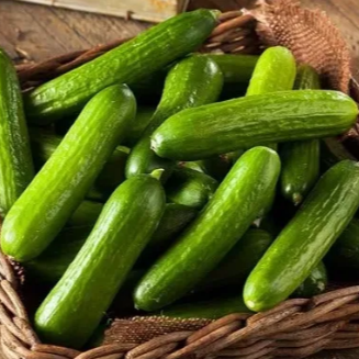 Cucumbers (Mini Persian) - appx 4 lbs per bag