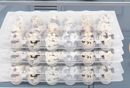 Fresh Quail Eggs (18 ct)
